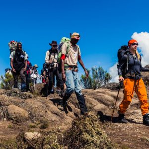 Vandring på Kilimanjaro