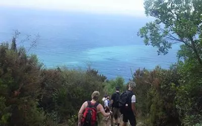 Vandrar ner mot kusten i Cinque Terre