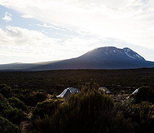 Majestätiska Kilimanjaro syns från tälten