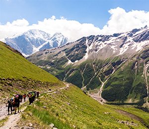 Vandringen mot Elbrus börjar