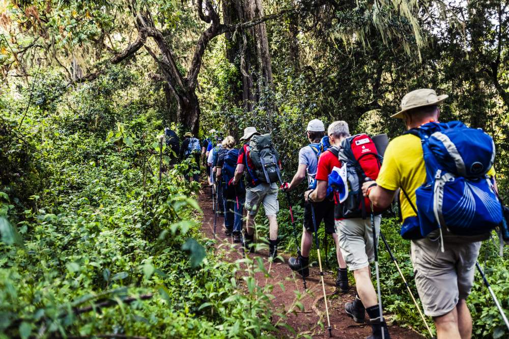 Rutter på Kilimanjaro | Swett